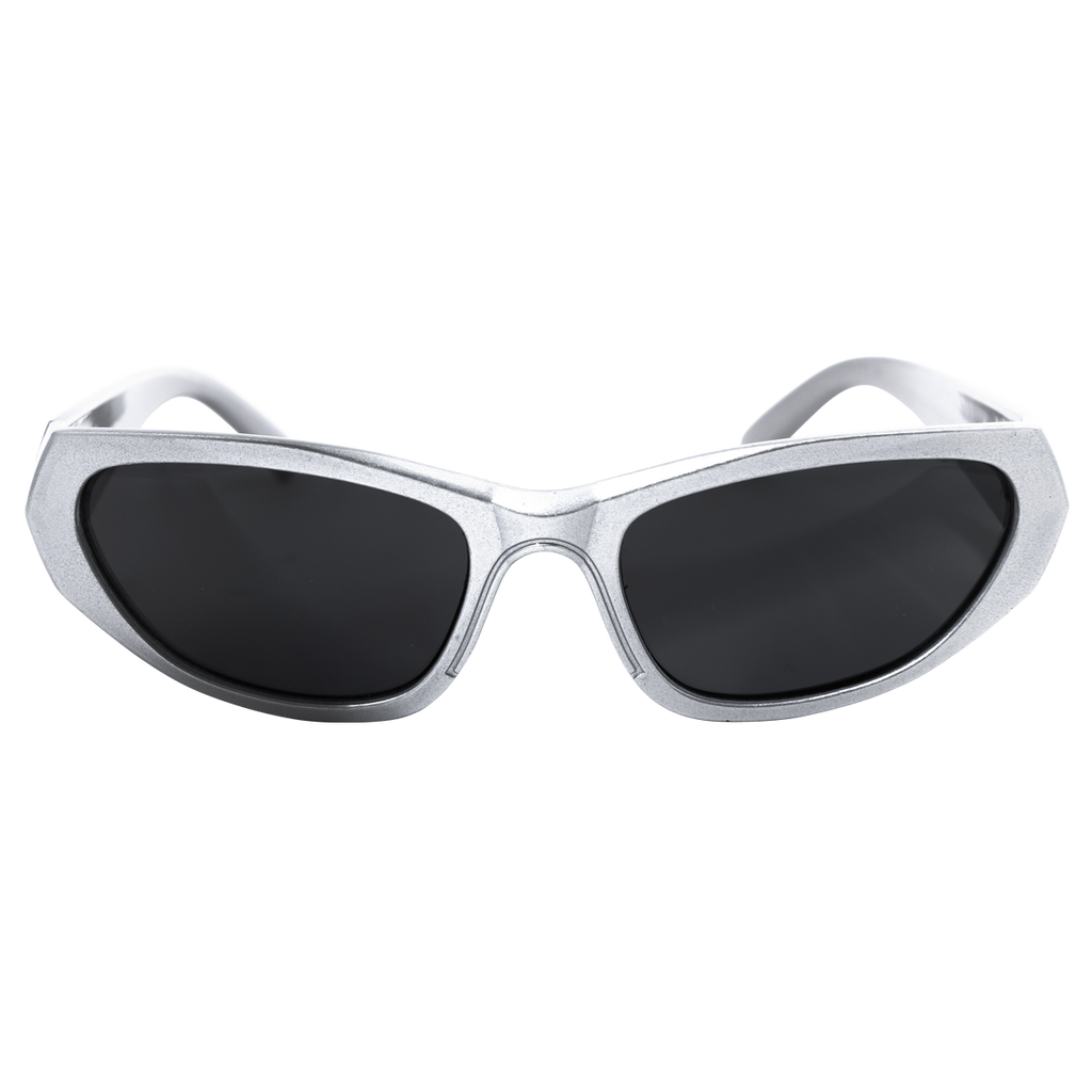 Alpha Sunglasses in Silver